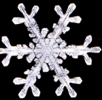 snow crystal (wiki commons)