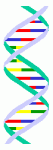 DNA Comes Home, or Maybe Not