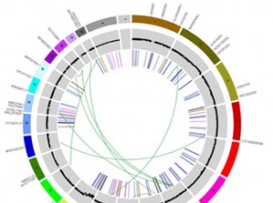 Learning About the Cancer Genome Atlas
