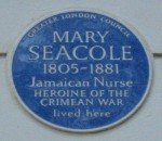 Who Was Nurse Mary Jane Seacole?